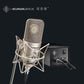 Neumann Studio Tube Microphone M 149 Tube UK