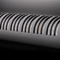 Neumann Shotgun Microphone KMR 81 i